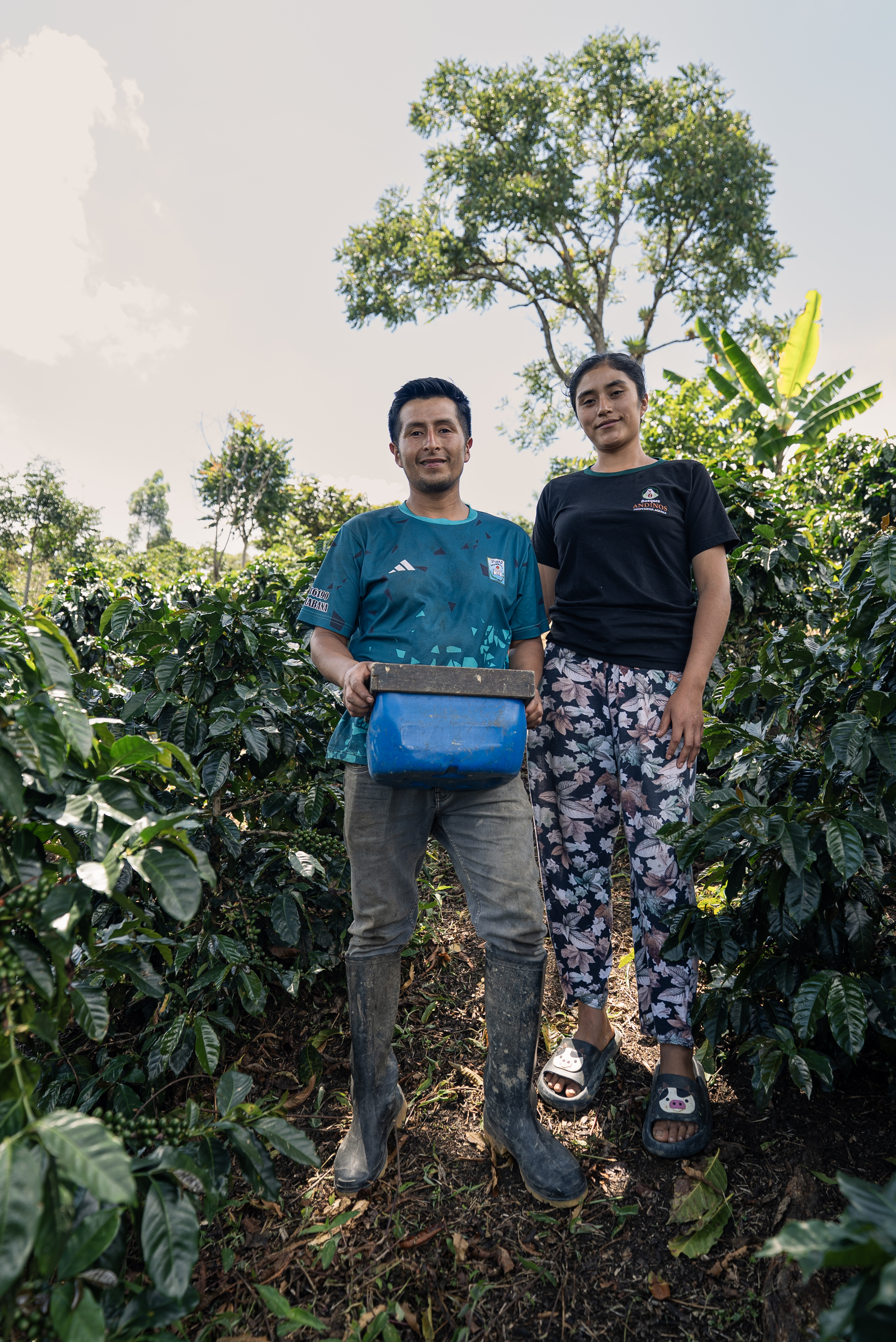 ASOCIACIÓN EL AYLLU