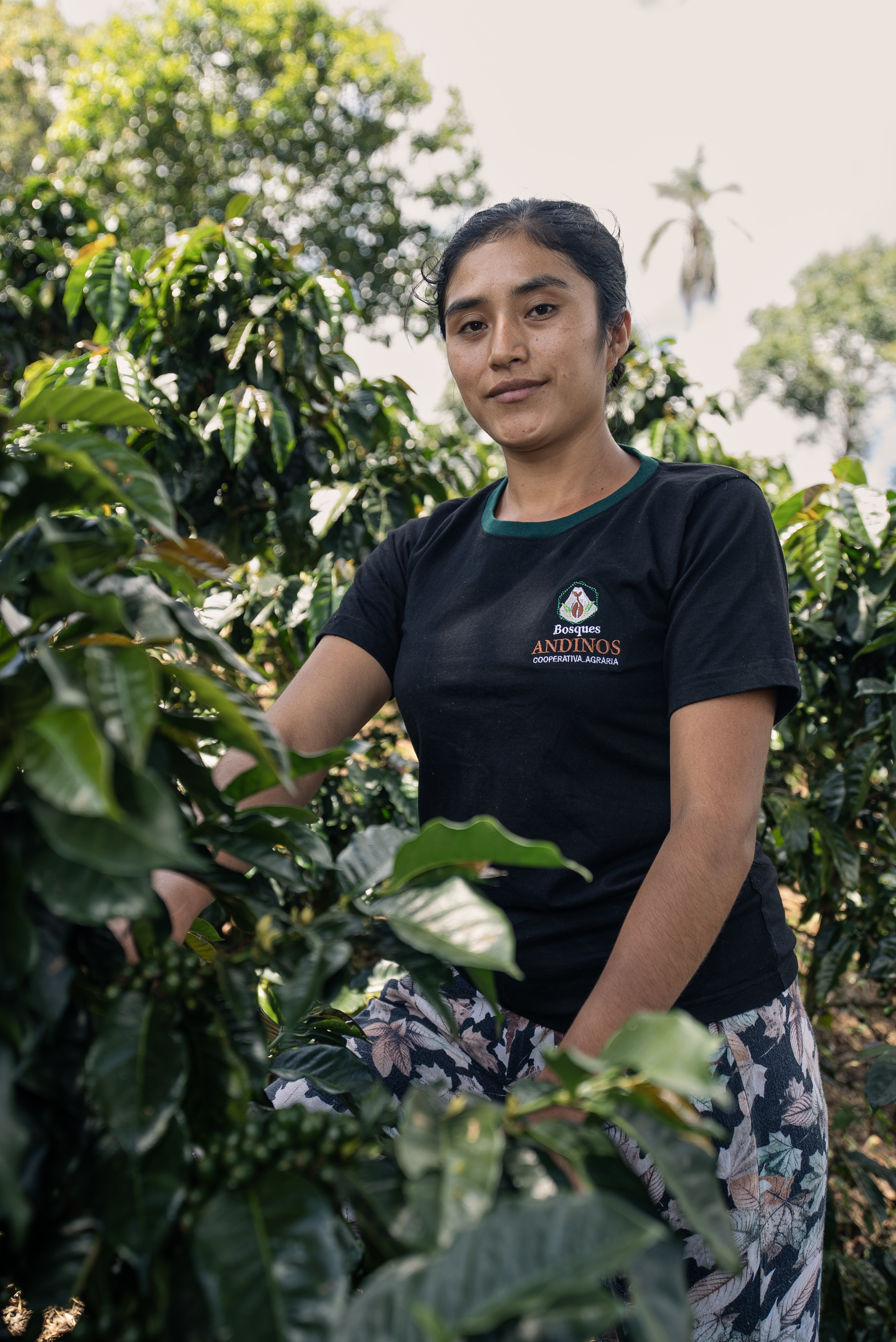 ASOCIACIÓN EL AYLLU