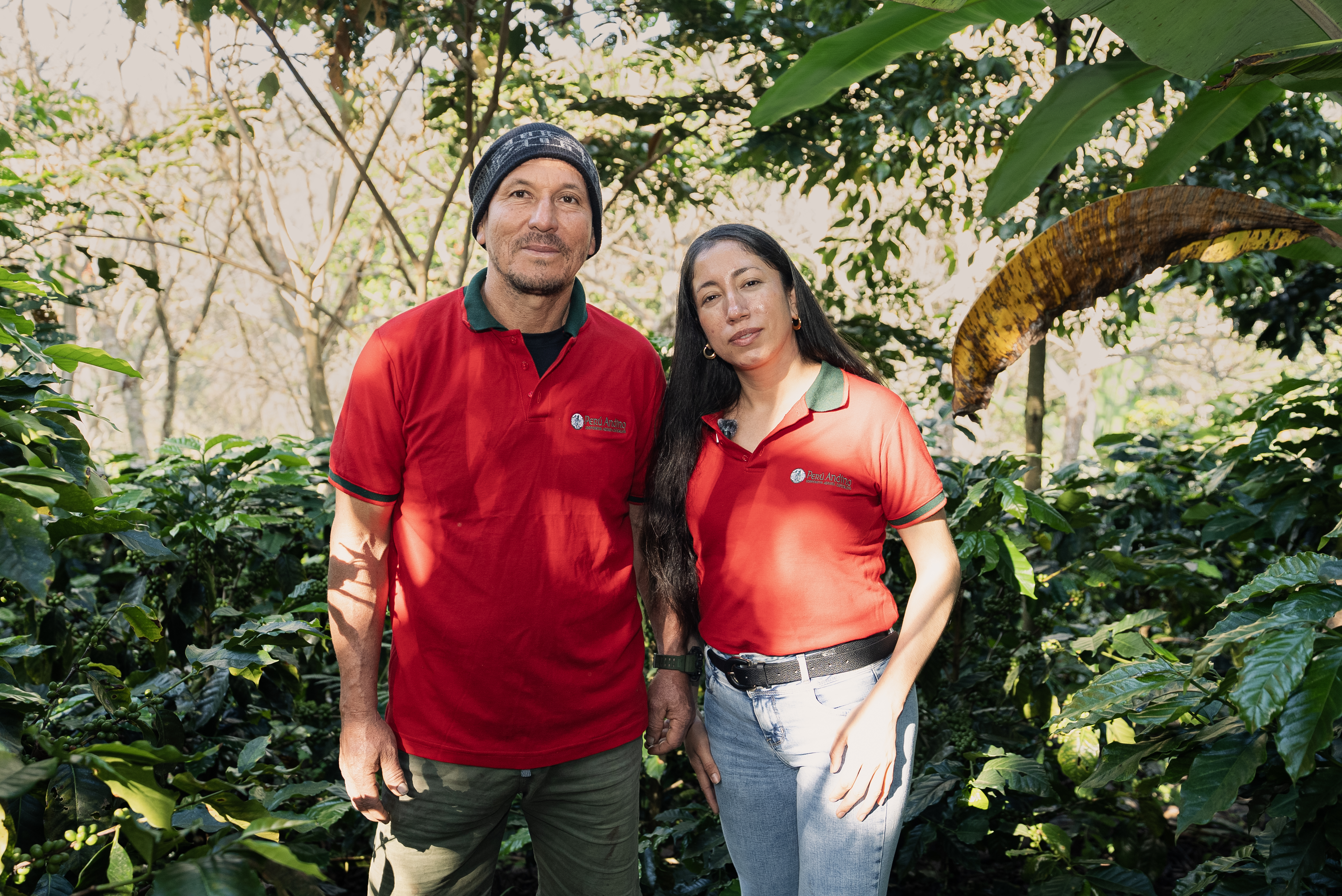 COOPERATIVA AGRARIA PERUANDINO