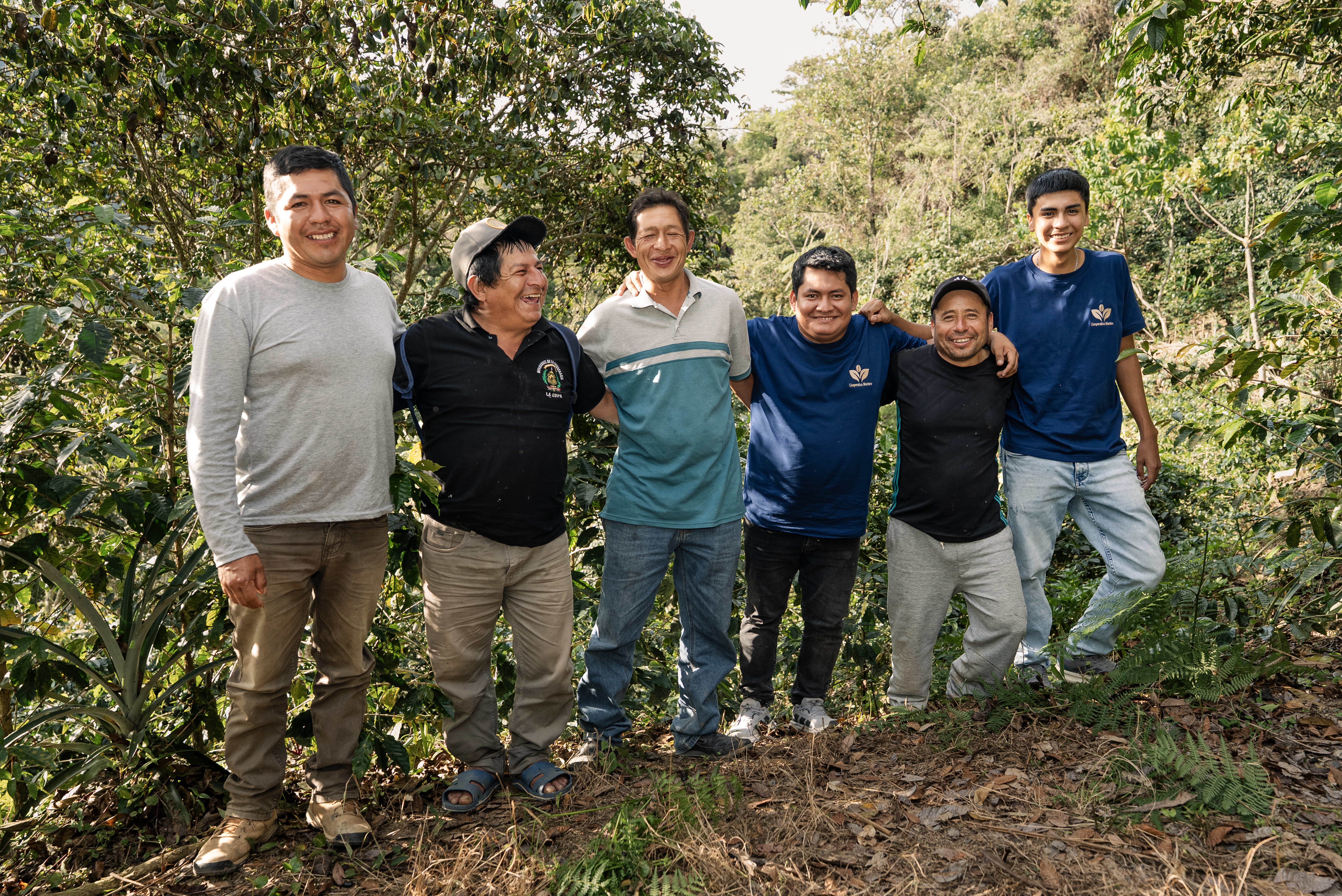 ASOCIACIÓN EL AYLLU