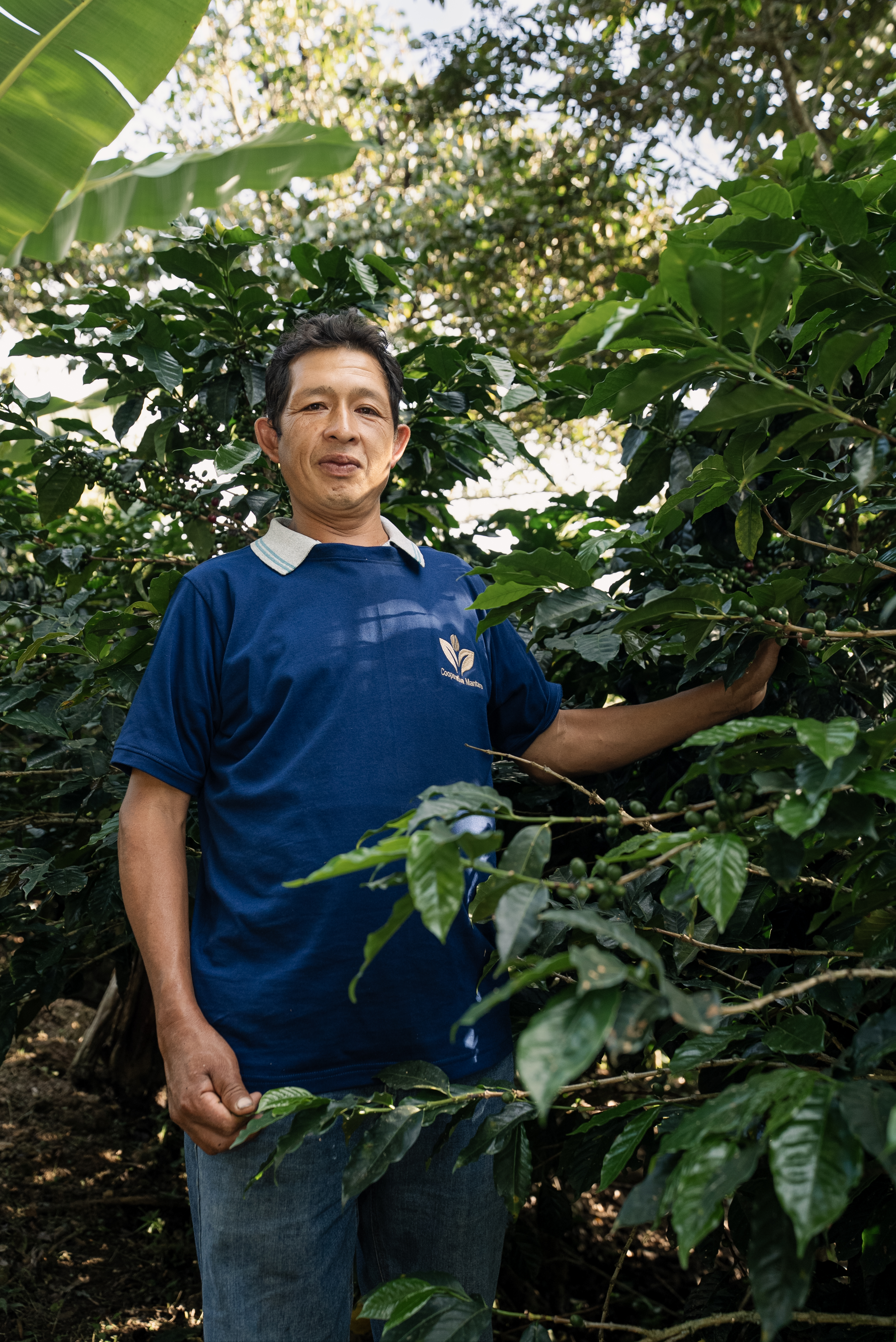 ASOCIACIÓN EL AYLLU